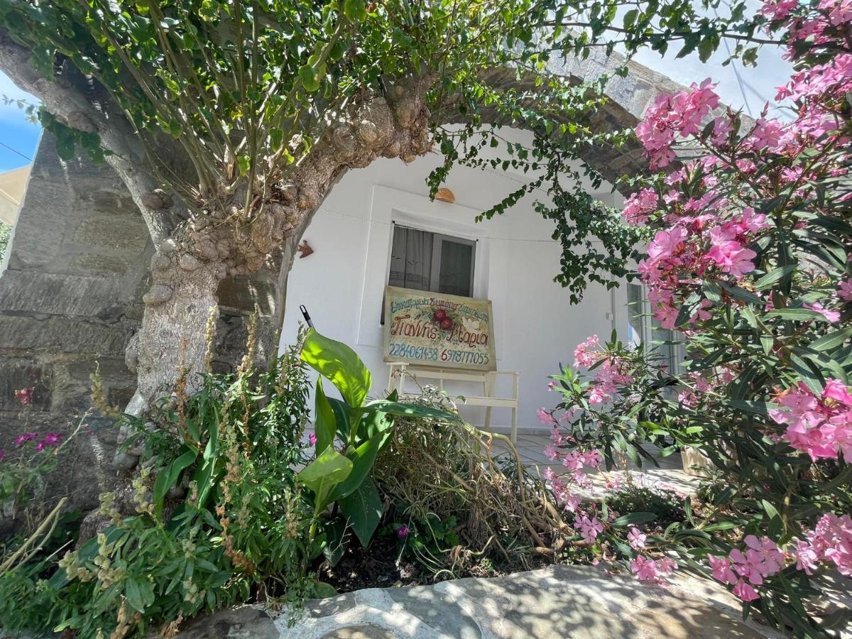 Yannis Maria Rooms Antiparos Town المظهر الخارجي الصورة